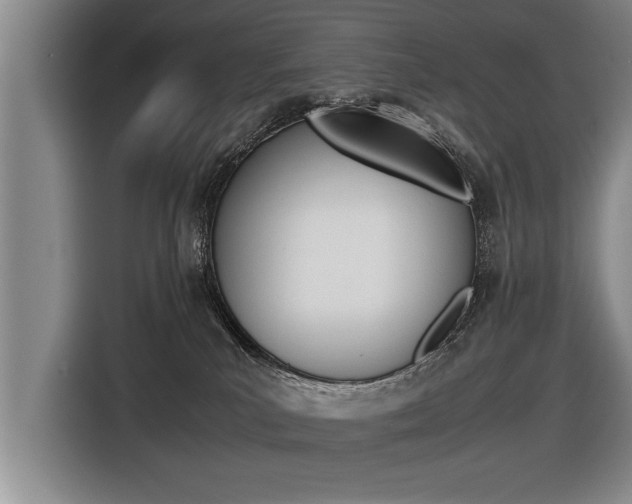 X0000116560039200912100952
