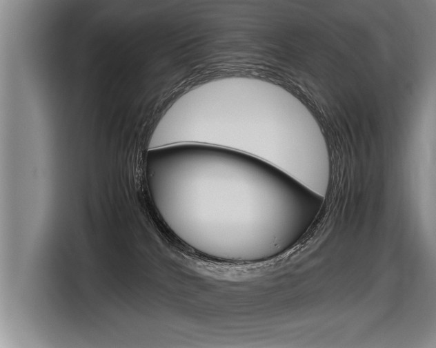 X0000116560040200912100952