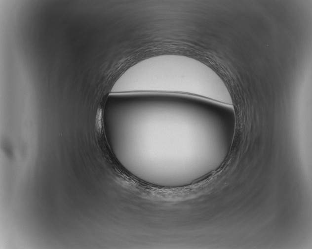 X0000116560041200912100952