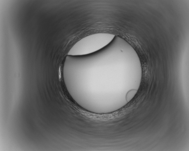X0000116560042200912100952