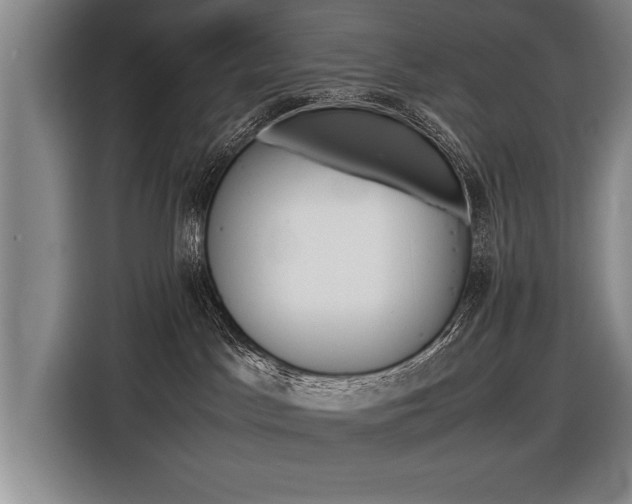 X0000116560045200912100952