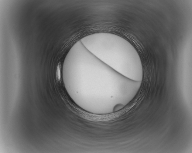 X0000116560046200912100952