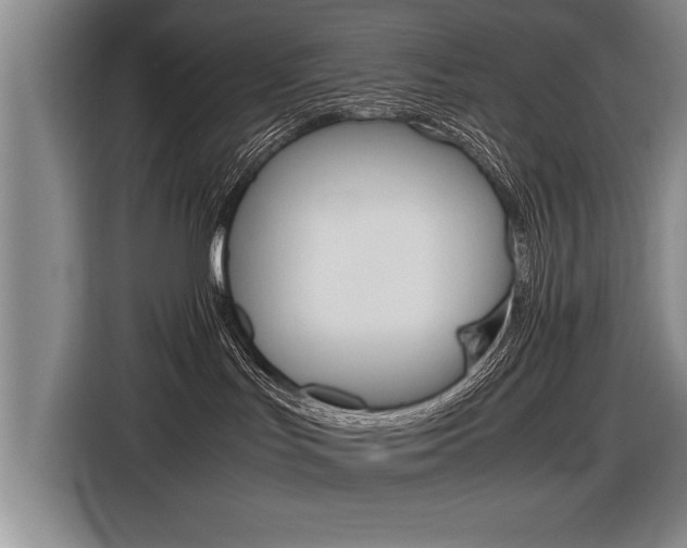 X0000116560047200912100952