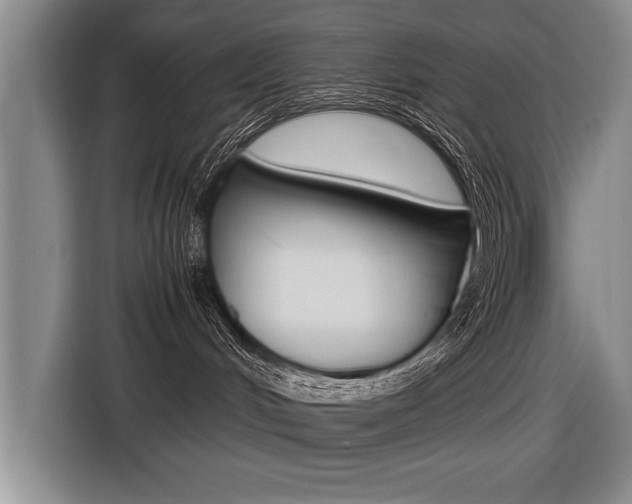 X0000116560048200912100952