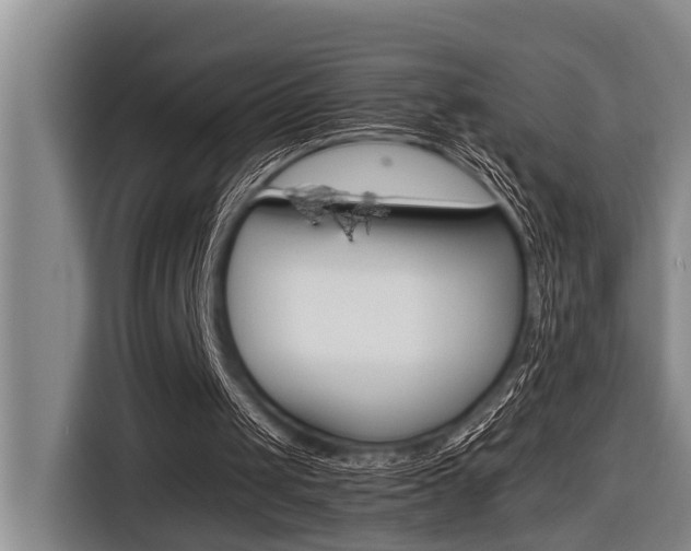 X0000116560049200912100951