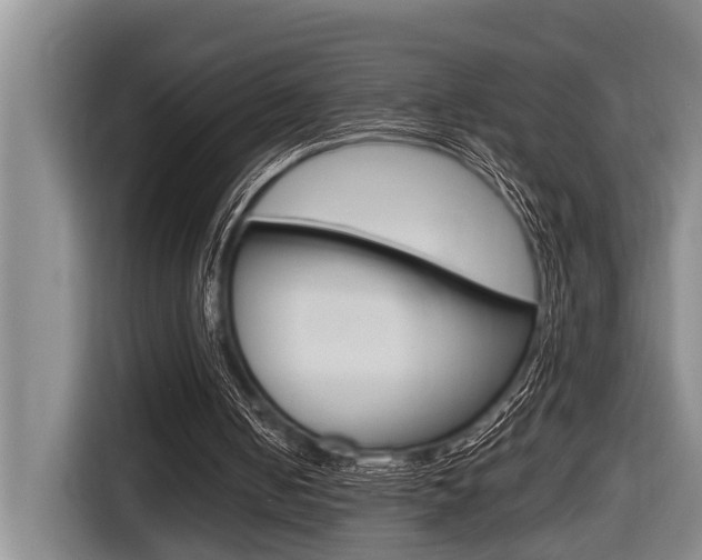 X0000116560050200912100951
