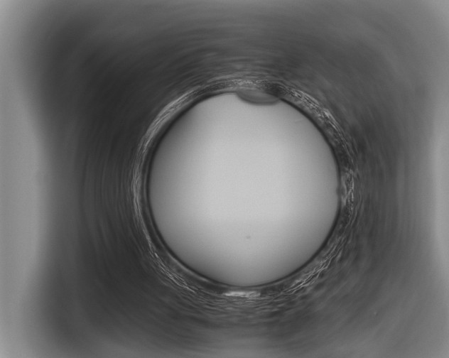 X0000116560051200912100951