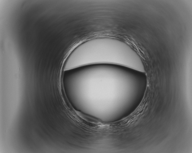 X0000116560052200912100951