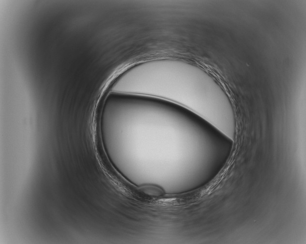 X0000116560054200912100951