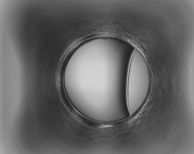 X0000116560055200912100951