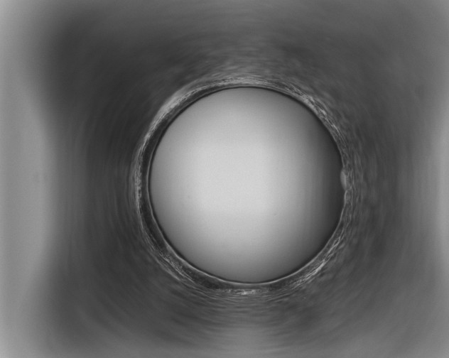 X0000116560056200912100951