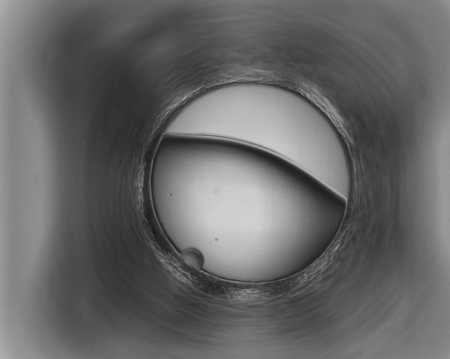 X0000116560058200912100951