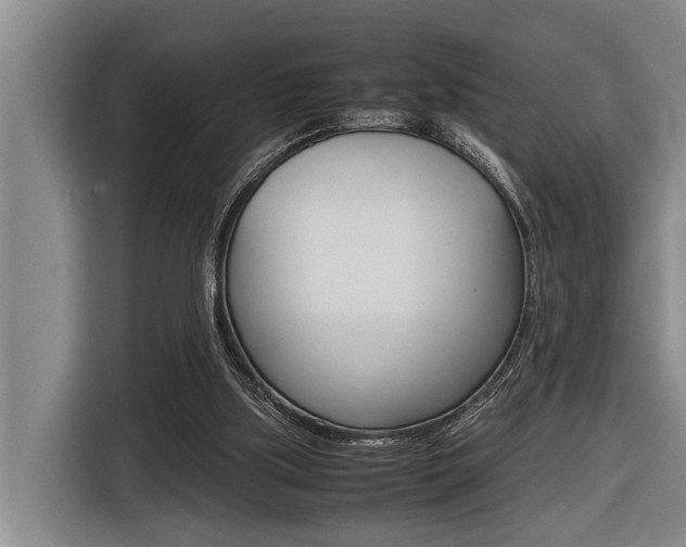 X0000116560059200912100951