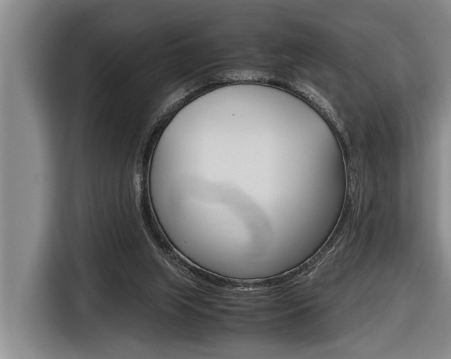 X0000116560063200912100951