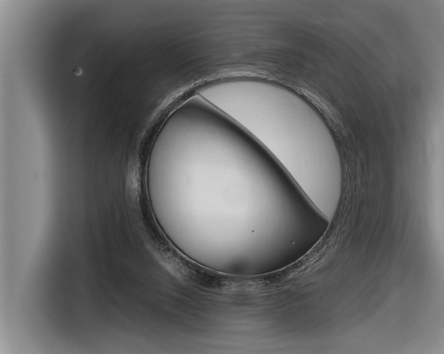 X0000116560064200912100952
