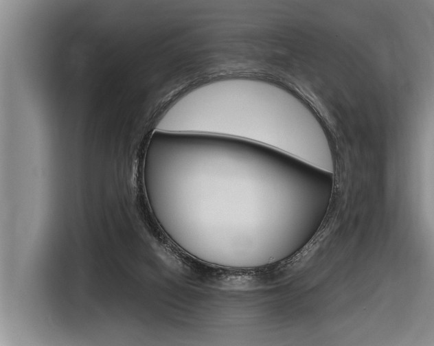 X0000116560066200912100952