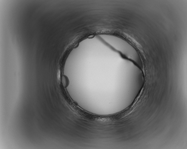 X0000116560067200912100952