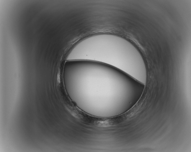 X0000116560068200912100952