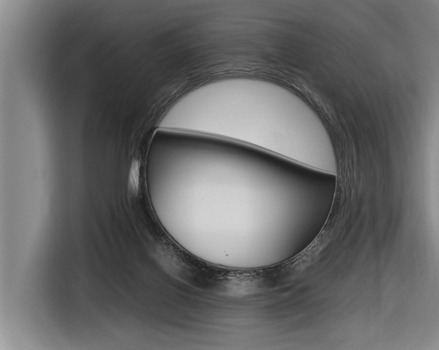 X0000116560070200912100952