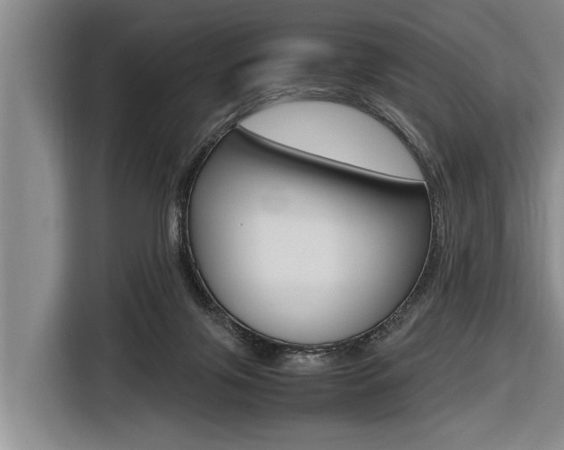 X0000116560071200912100952