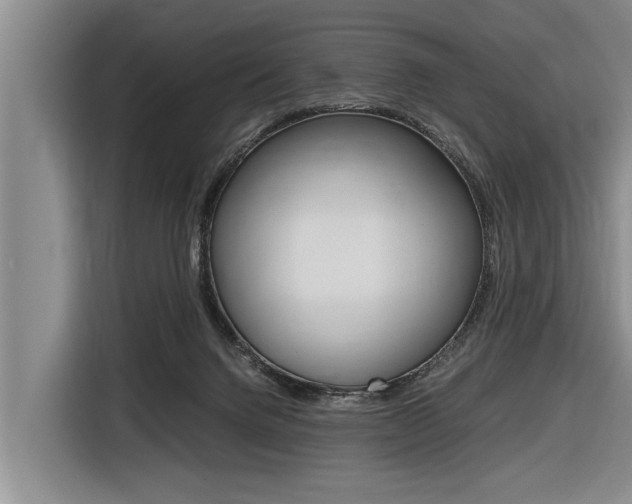 X0000116560072200912100952