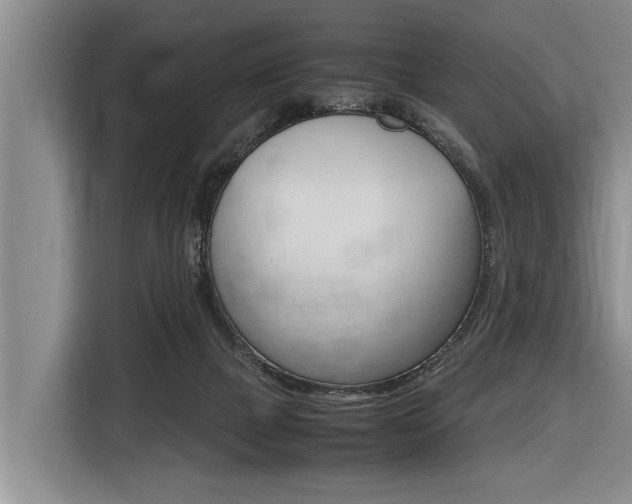 X0000116560073200912100952