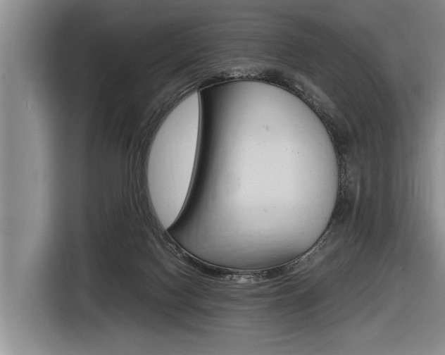 X0000116560074200912100952