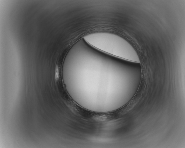 X0000116560075200912100952