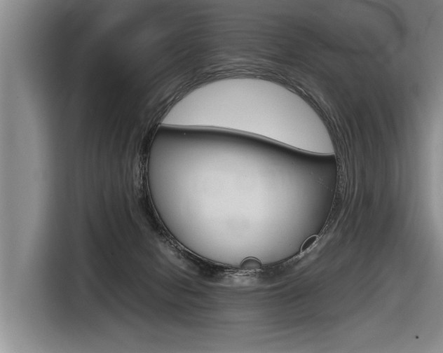 X0000116560078200912100952
