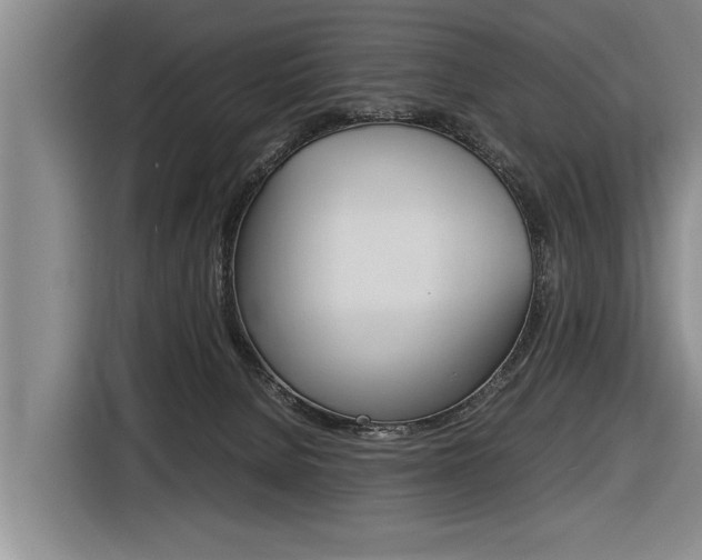 X0000116560080200912100952