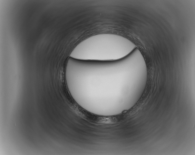 X0000116560083200912100952