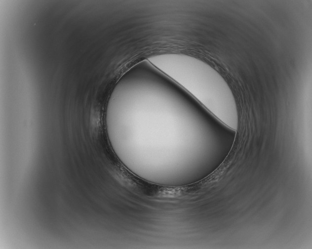 X0000116560084200912100952