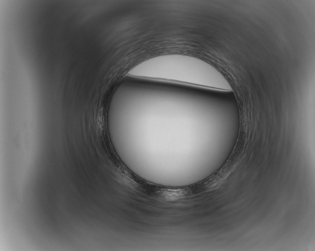X0000116560085200912100952