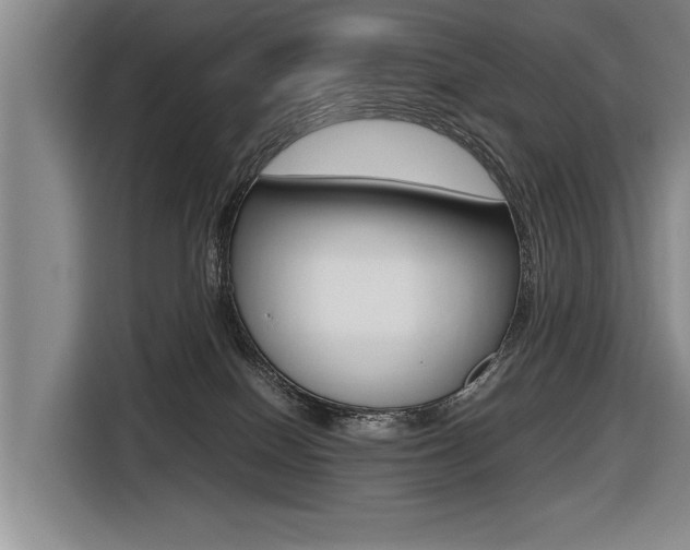 X0000116560086200912100952