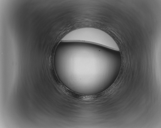X0000116560088200912100952