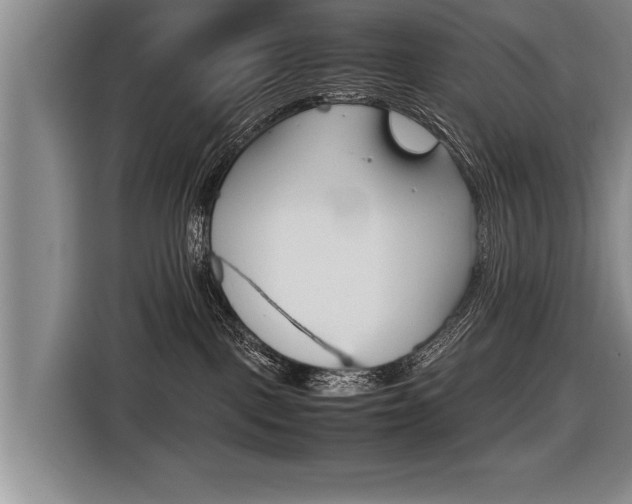X0000116560093200912100952