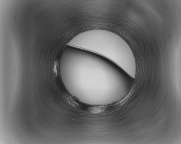 X0000116560094200912100952
