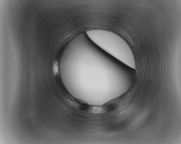 X0000116560095200912100952