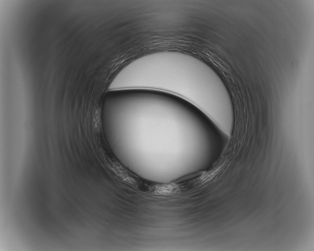 X0000116560096200912100952