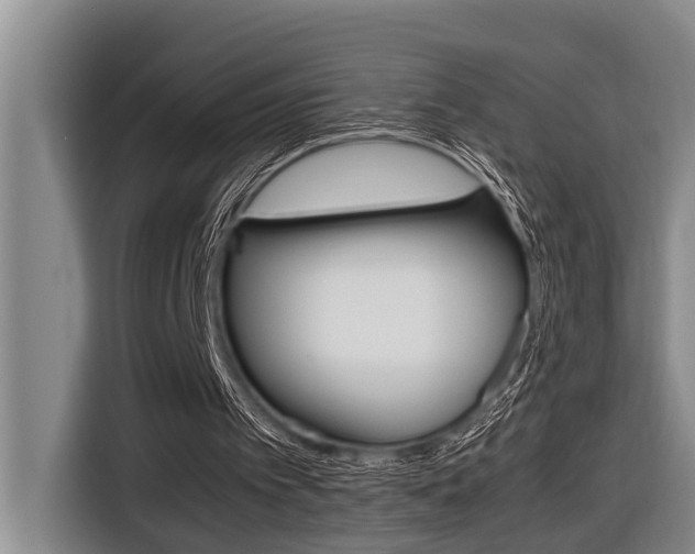 X0000116560097200912100951