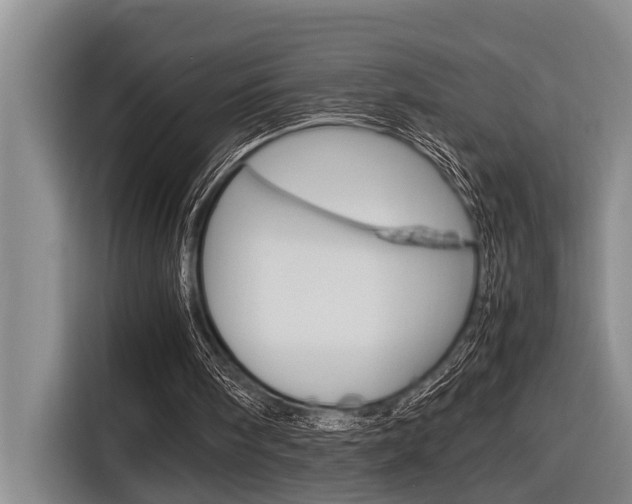 X0000116560098200912100951