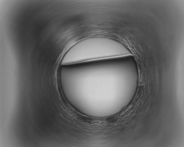 X0000116560099200912100951