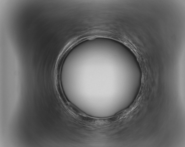 X0000116560101200912100951