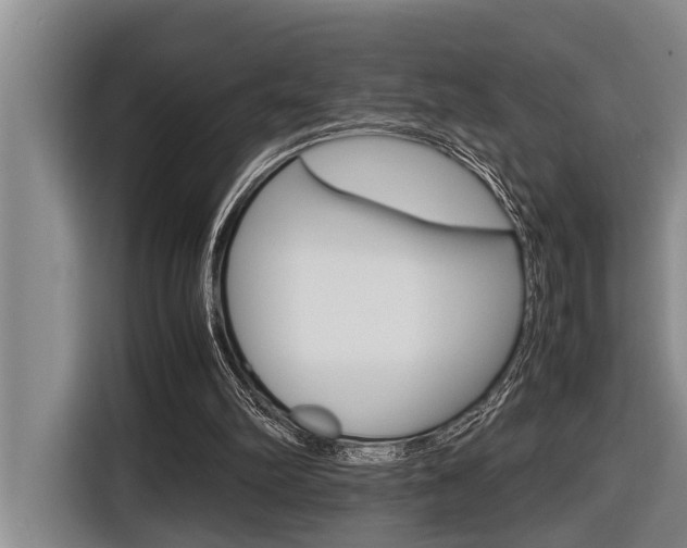 X0000116560102200912100951