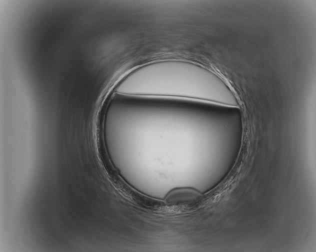 X0000116560103200912100951