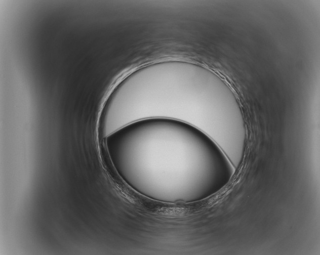 X0000116560104200912100951