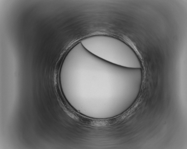 X0000116560106200912100951