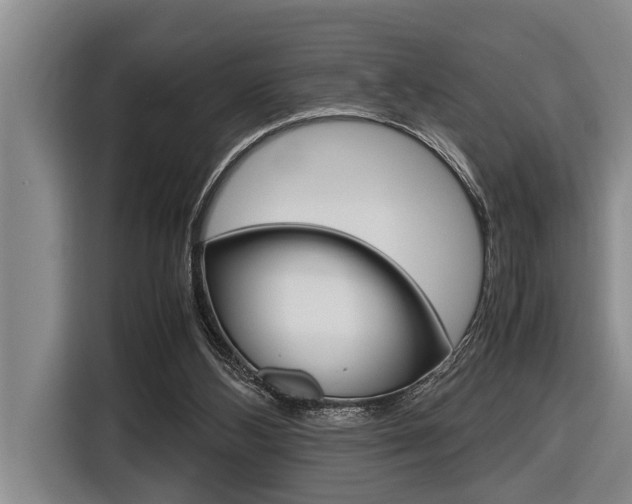 X0000116560108200912100951