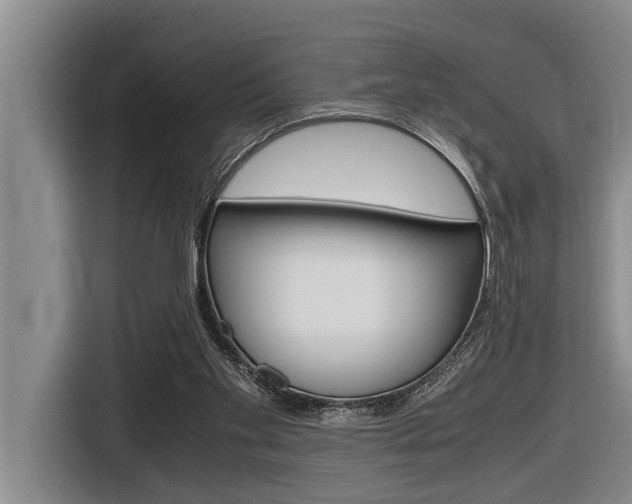 X0000116560109200912100951
