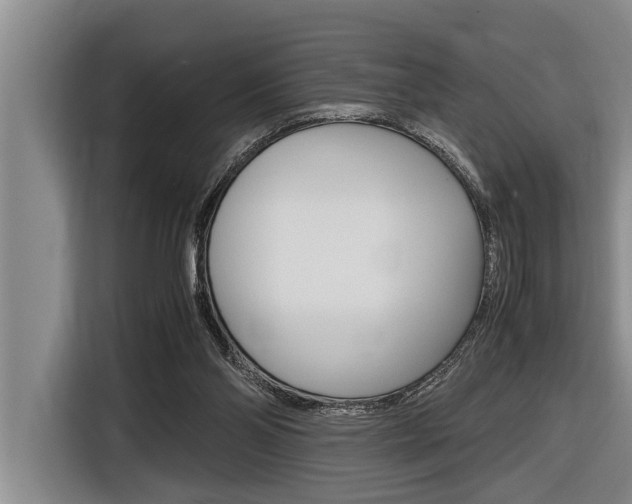 X0000116560110200912100951